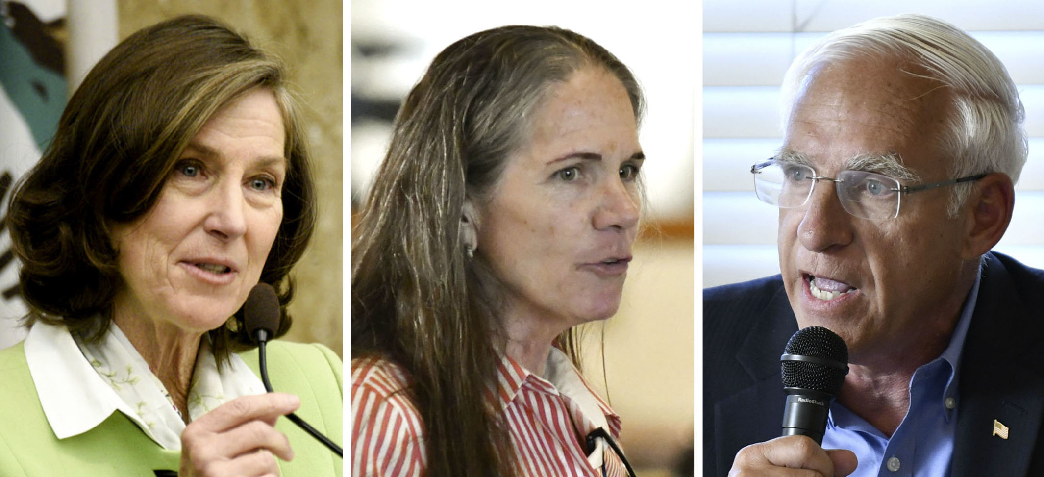 Candidates for the Santa Barbara County Board of Supervisors 3rd District seat